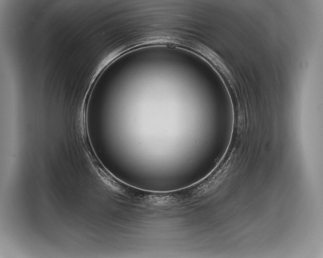 X0000116681242200912141425