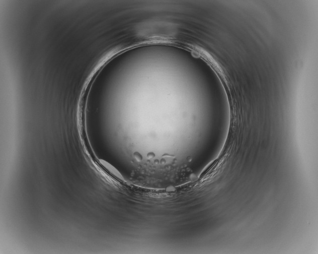X0000116681243200912141425