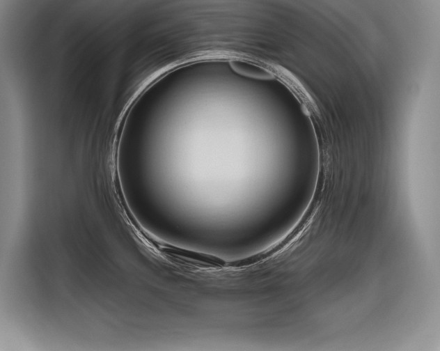 X0000116681244200912141425