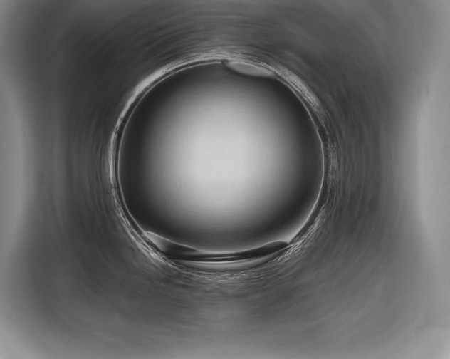 X0000116681246200912141425