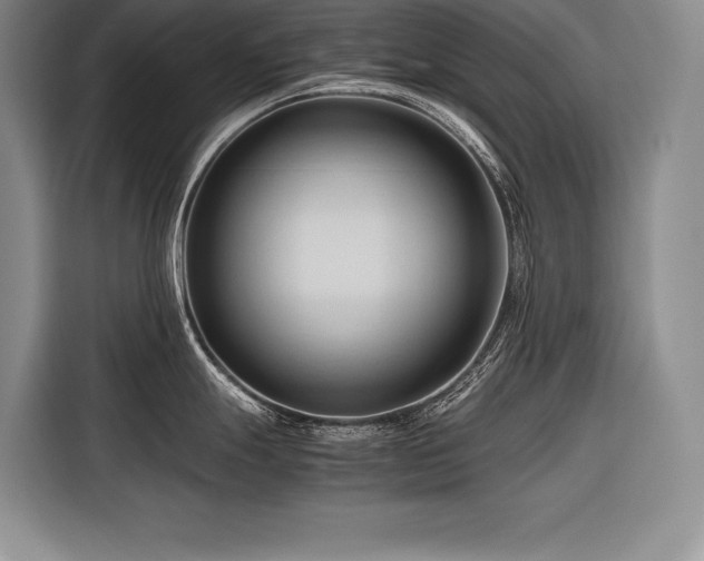 X0000116681247200912141425
