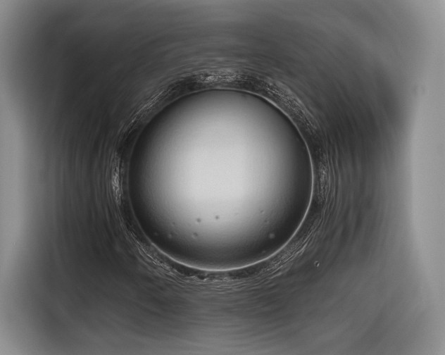 X0000116681250200912141425