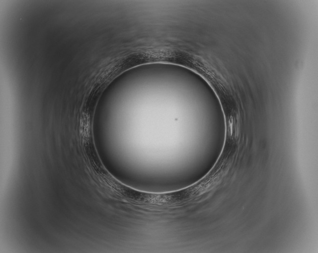 X0000116681251200912141425