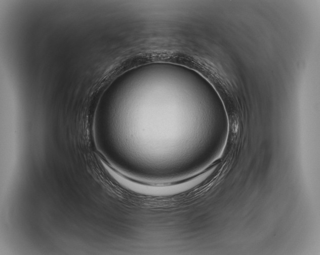 X0000116681252200912141425