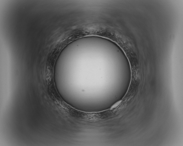 X0000116681253200912141425