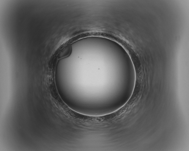 X0000116681255200912141425