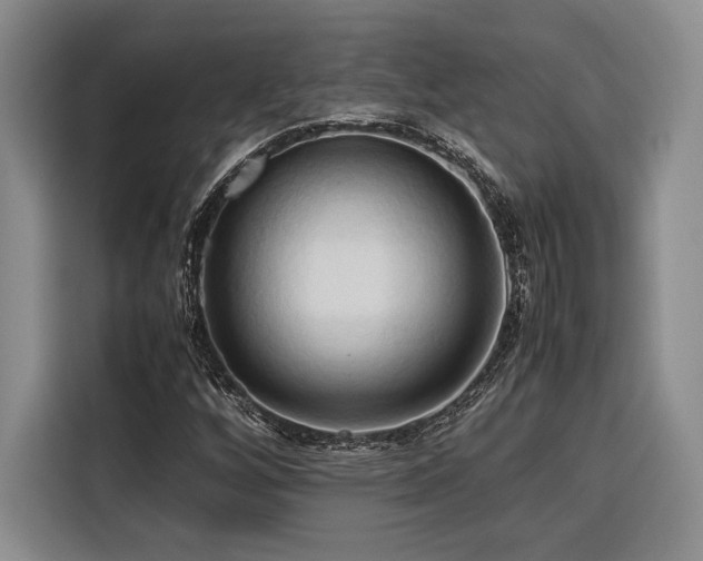 X0000116681256200912141425