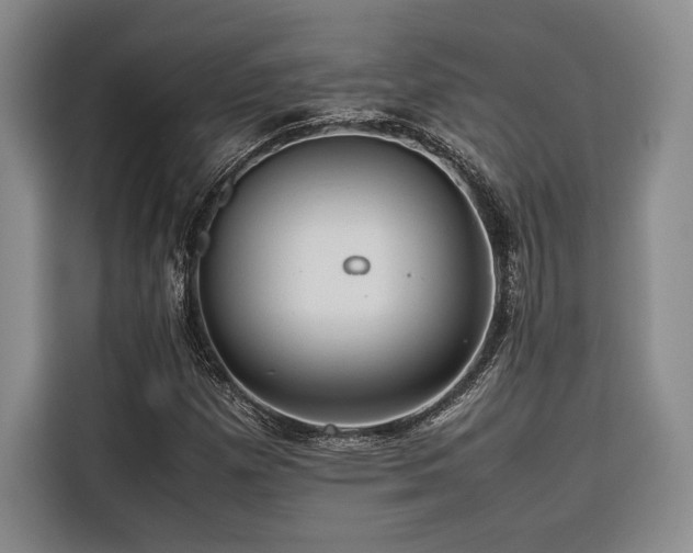 X0000116681257200912141425