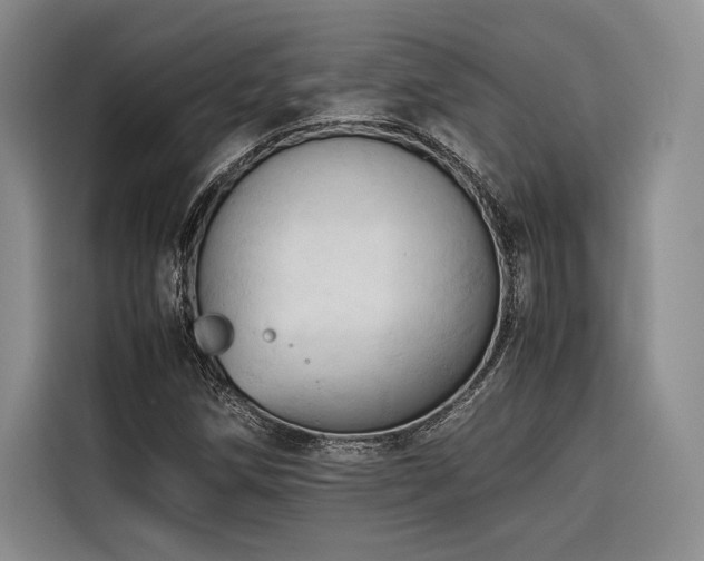 X0000116681258200912141425