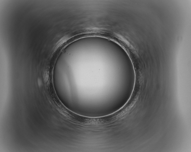 X0000116681259200912141425
