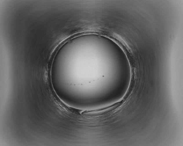 X0000116681260200912141425