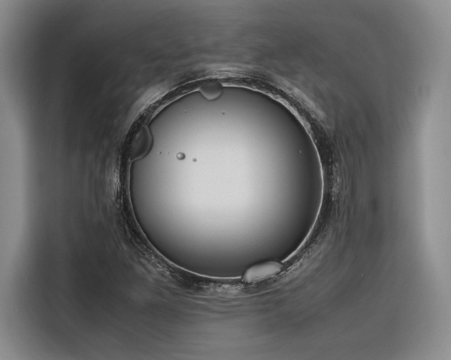 X0000116681261200912141425