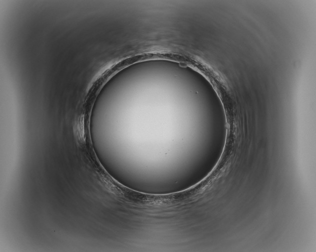 X0000116681262200912141425