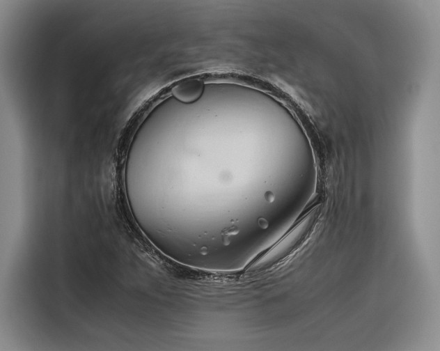 X0000116681263200912141425