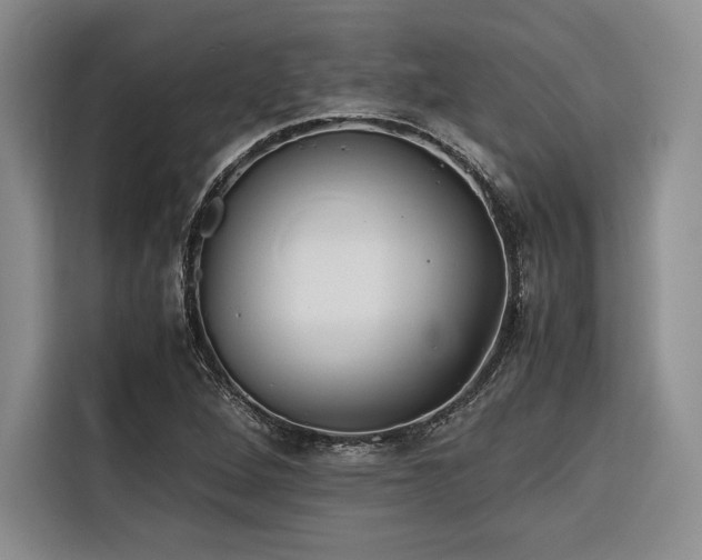 X0000116681264200912141425