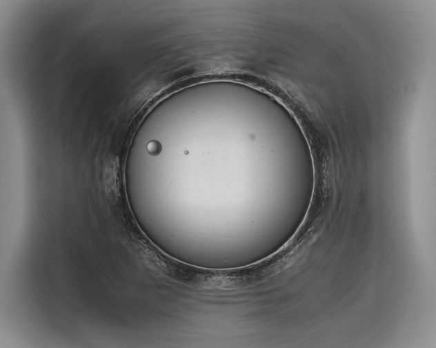 X0000116681265200912141425