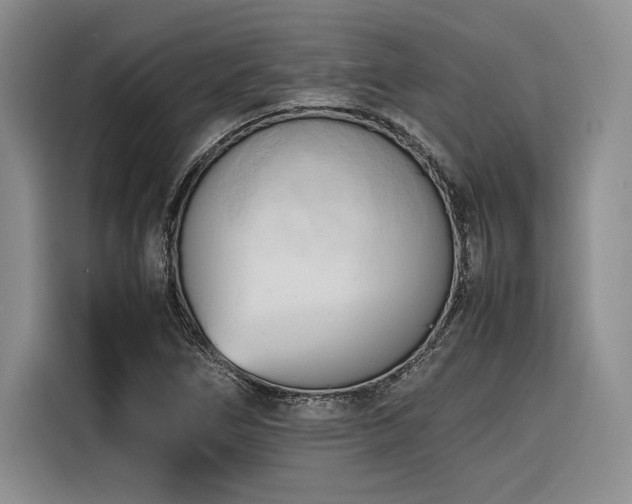 X0000116681266200912141425