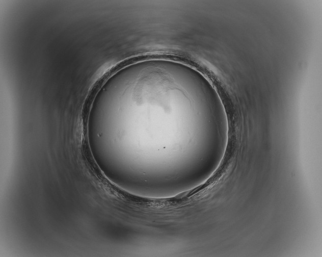 X0000116681267200912141425