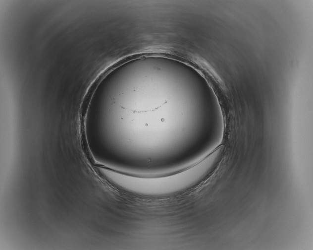 X0000116681268200912141425