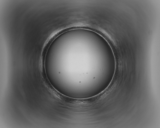 X0000116681270200912141425