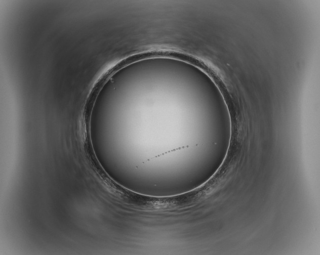 X0000116681271200912141425