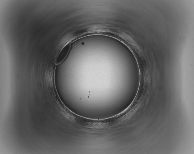 X0000116681273200912141425
