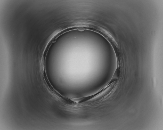 X0000116681275200912141425