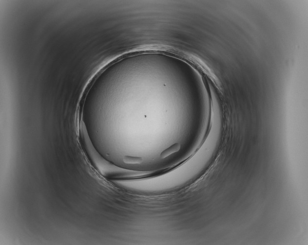X0000116681276200912141425
