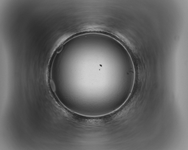 X0000116681277200912141424