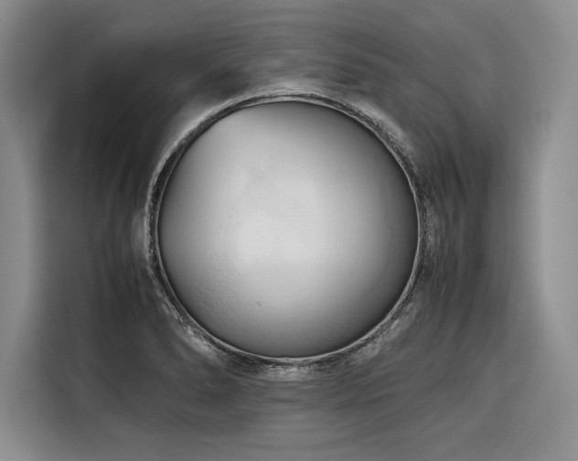 X0000116681278200912141424