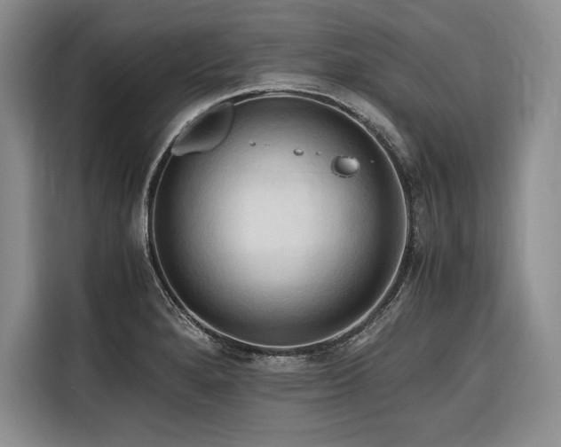 X0000116681280200912141424