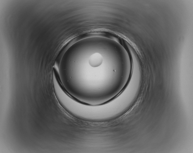 X0000116681281200912141424