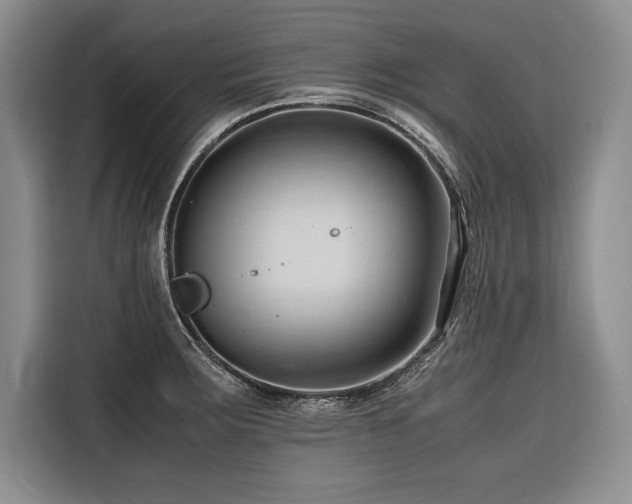 X0000116681283200912141424