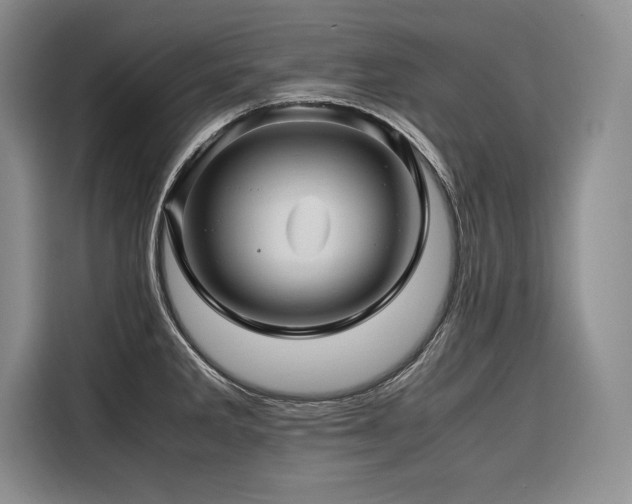 X0000116681285200912141424