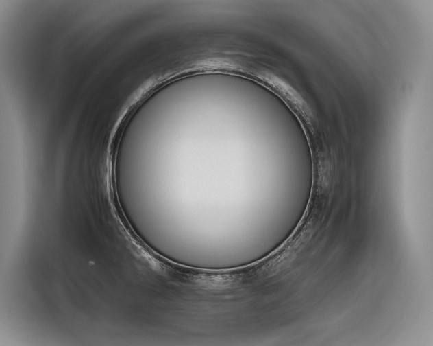 X0000116681286200912141424