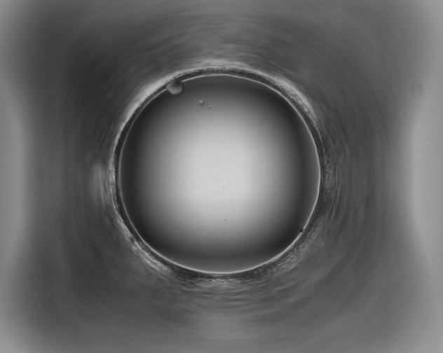X0000116681287200912141424