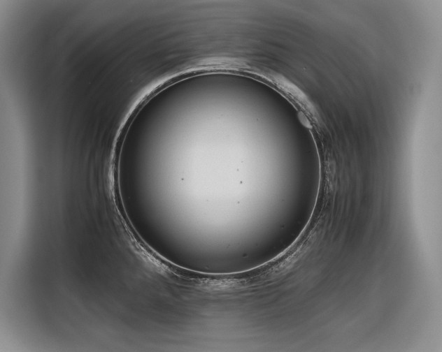 X0000116681288200912141424