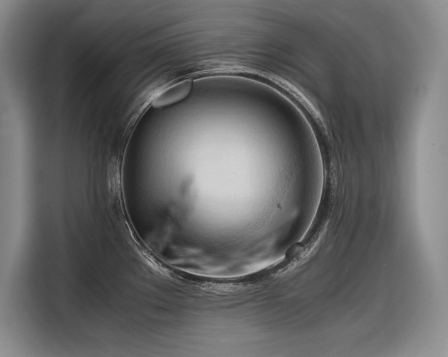 X0000116681289200912141424
