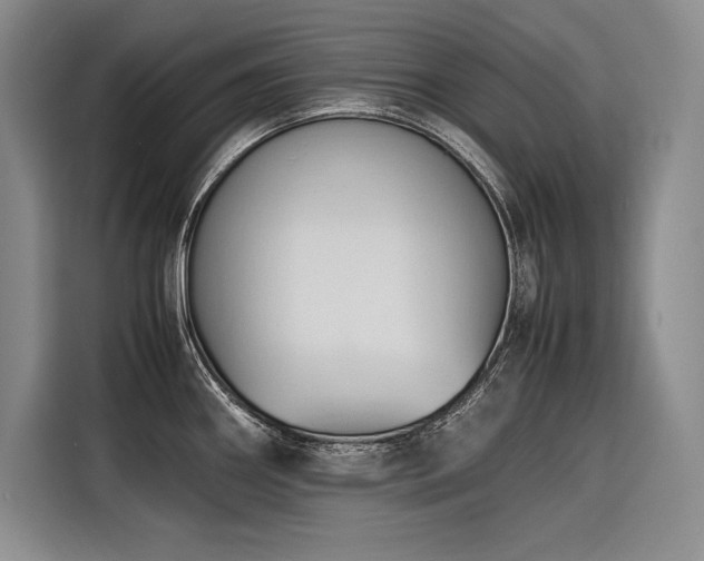 X0000116681290200912141424