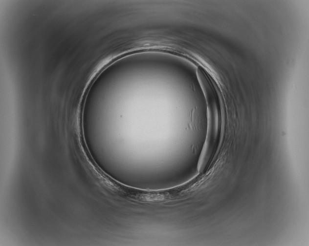 X0000116681291200912141424