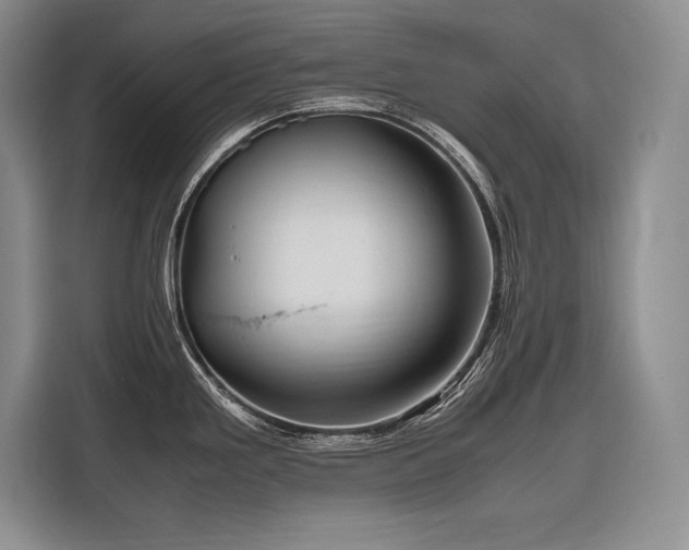 X0000116681293200912141424