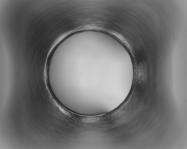 X0000116681294200912141424