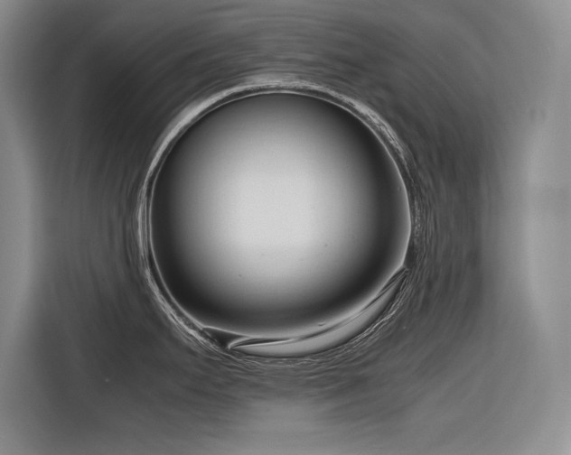 X0000116681295200912141424