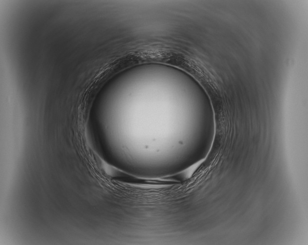 X0000116681297200912141424