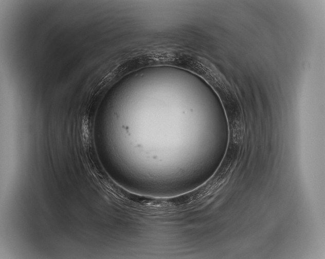 X0000116681298200912141424