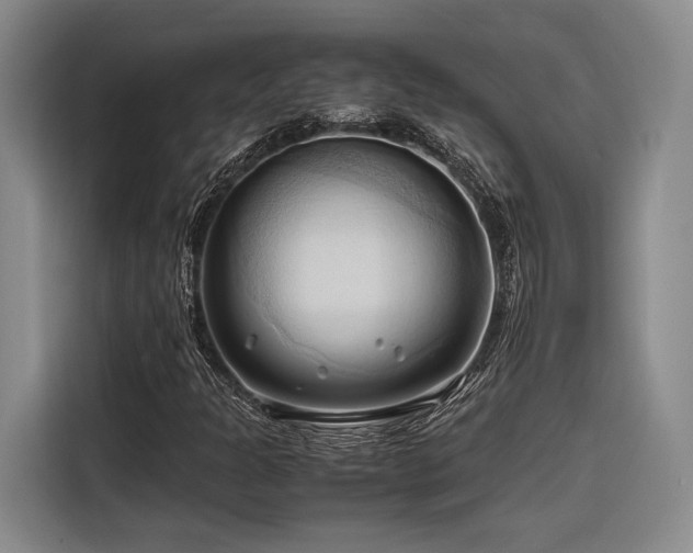 X0000116681301200912141424
