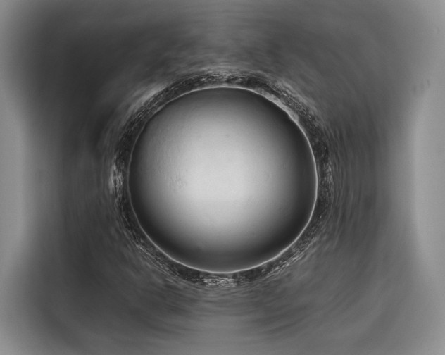 X0000116681302200912141424