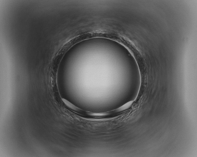 X0000116681303200912141424