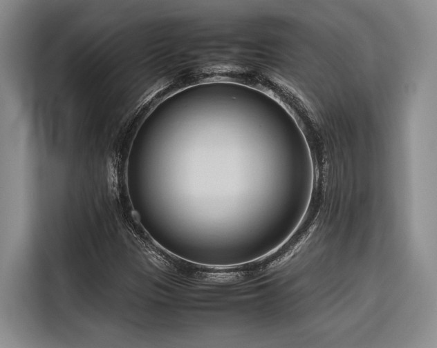 X0000116681305200912141424