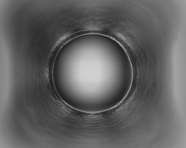 X0000116681307200912141424